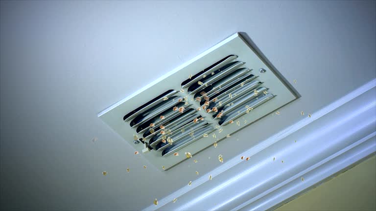 Best Ductwork Cleaning Services  in Abingdon, IL