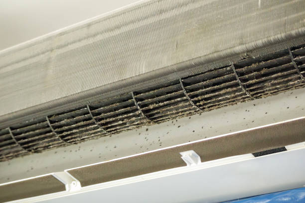 Best Emergency Air Duct Cleaning  in Abingdon, IL